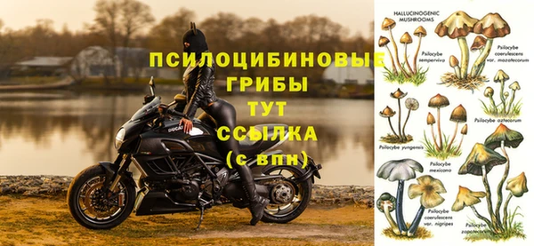 дмт Балабаново