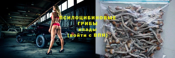 шишки Балахна