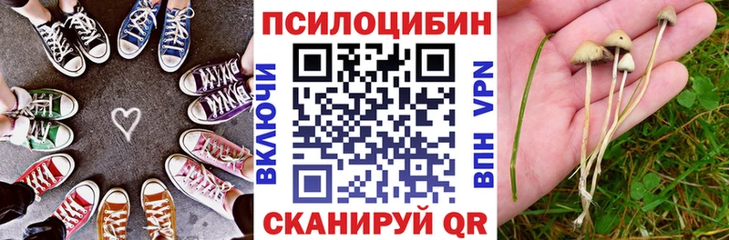 Псилоцибиновые грибы Psilocybe  Купить закладки  Нижние Серги 
